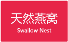 Swallow Nest