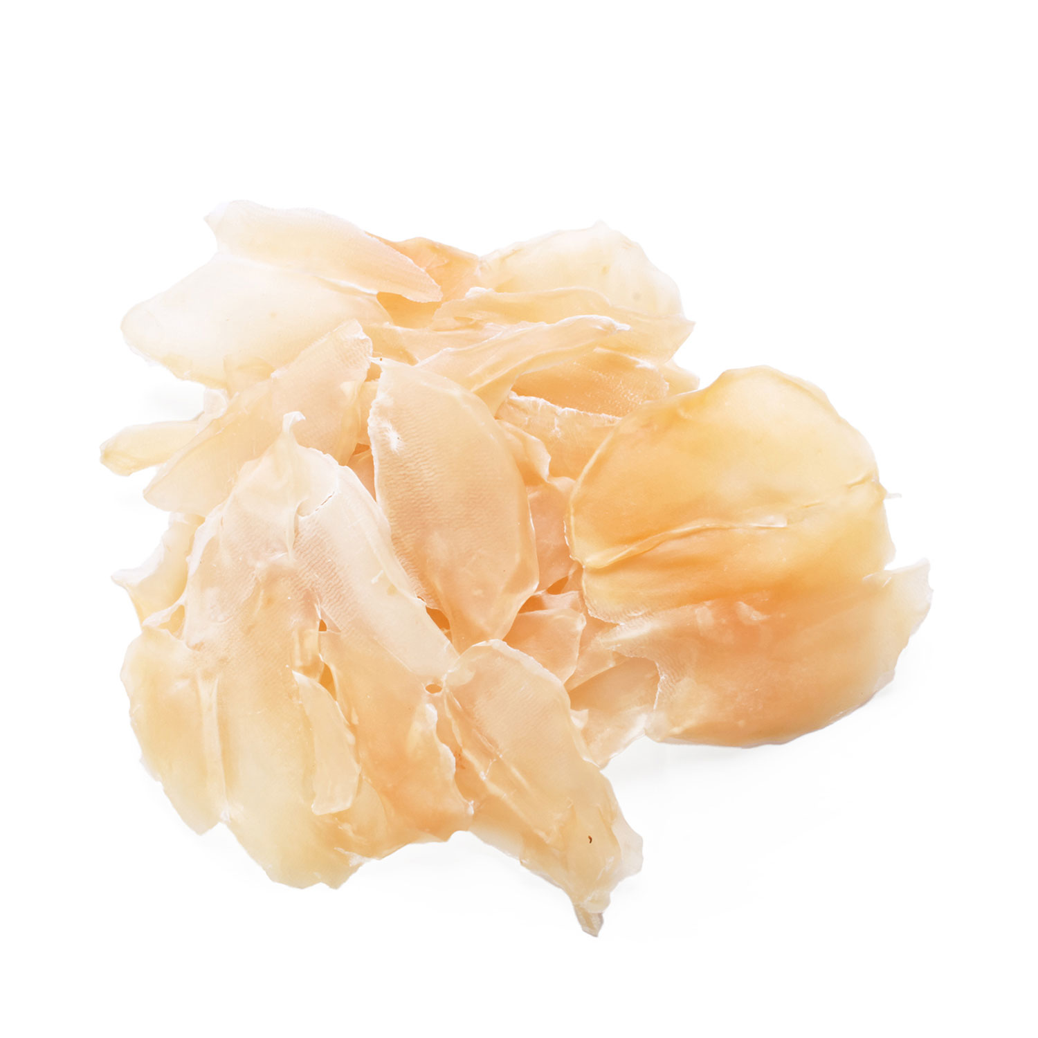 Dried Abalone Style Shellfish 8oz (13184) Tak Shing Hong