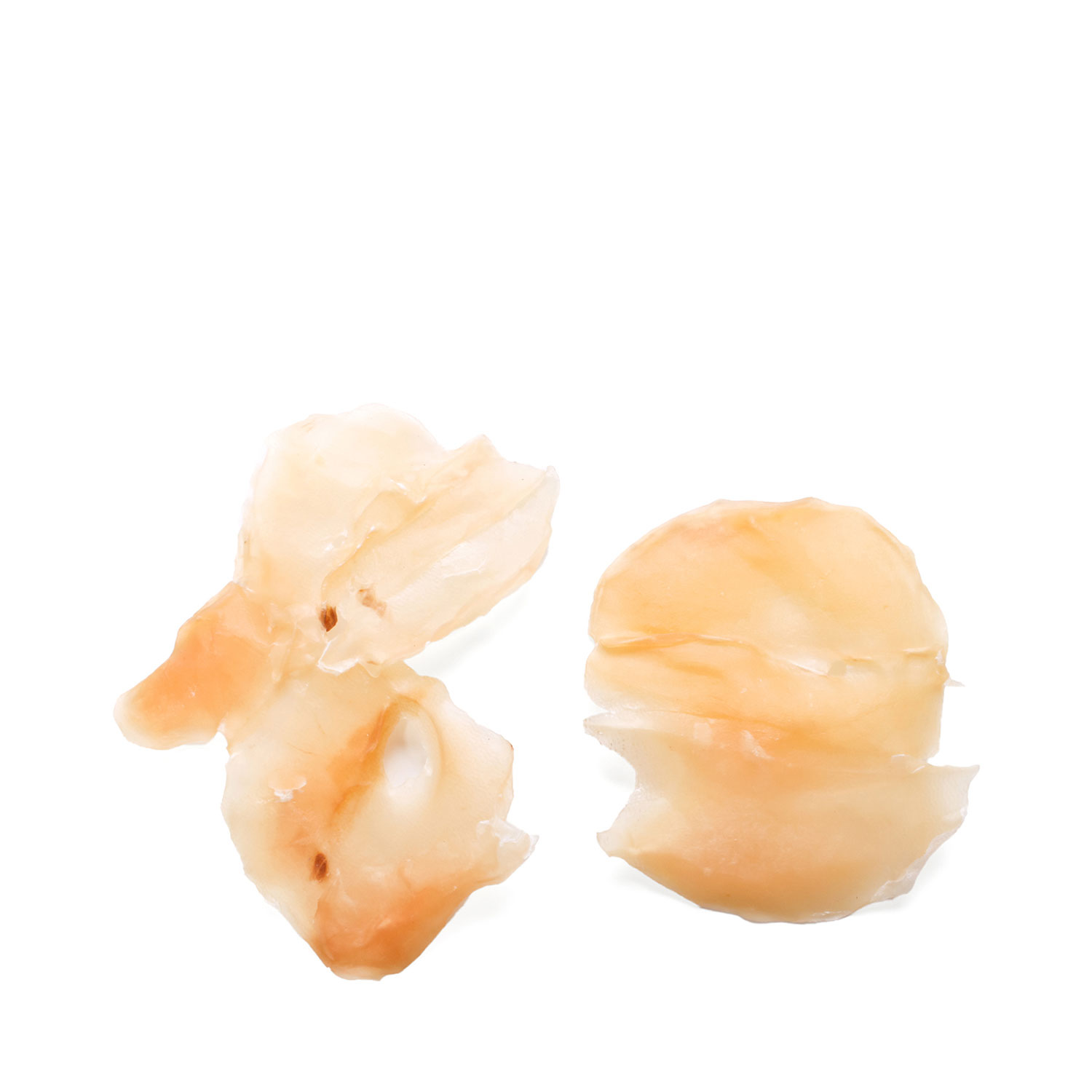 Dried Abalone Style Shellfish 8oz (13184) Tak Shing Hong