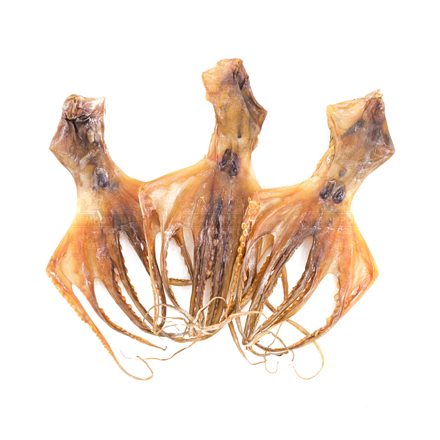 Dried Octopus 8oz Tak Shing Hong