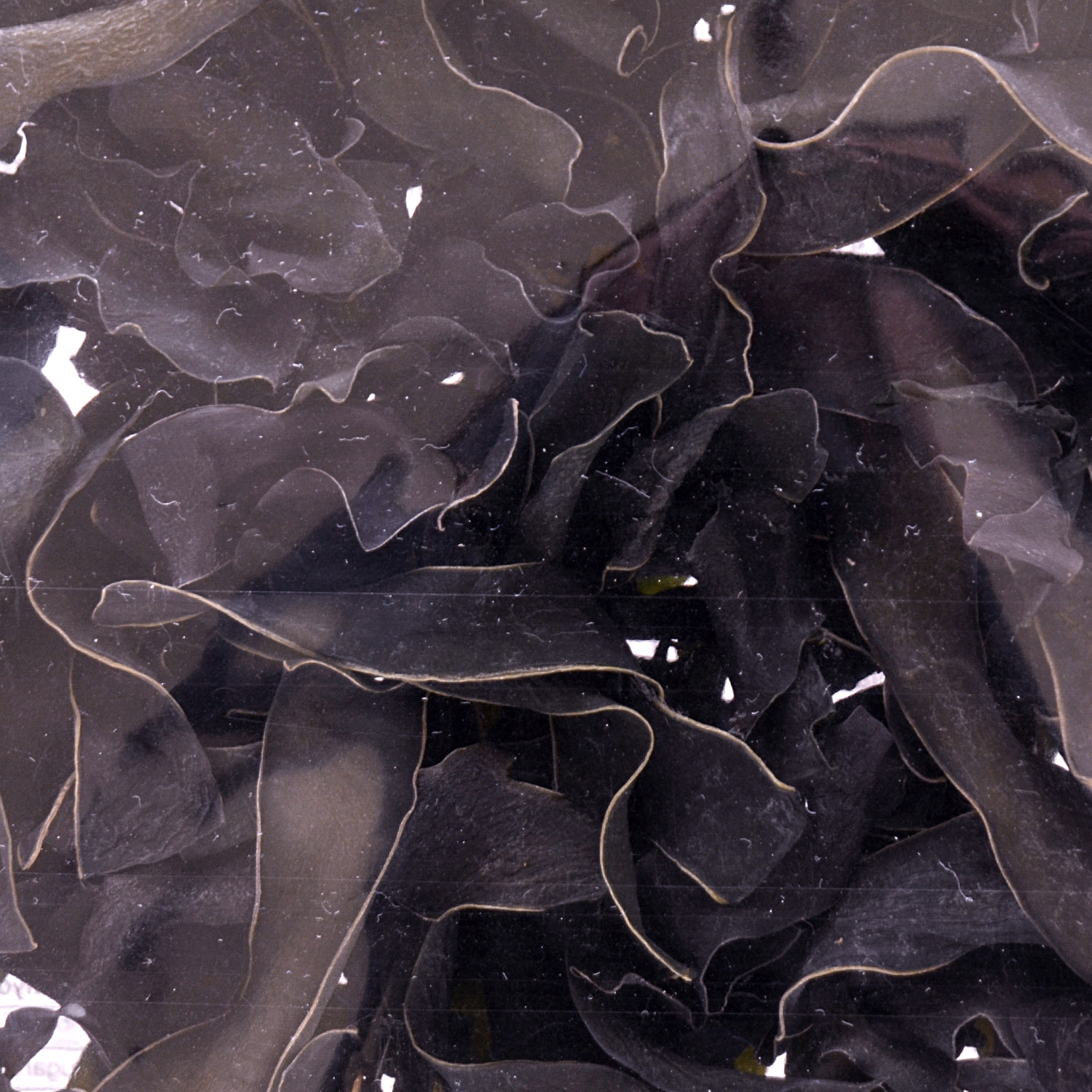 DMDB Dried Sliced Kelp 100g Tak Shing Hong