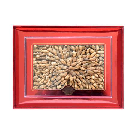 TAK SHING HONG Wild American Ginseng 08G-RR-AAA 4oz 德成行 美国野生花旗参/西洋参 08G-RR-AAA 4oz(113.50g) 德成行 美國野生花旗參/西洋參 08G-RR-AAA 4oz(113.50g)