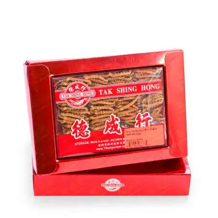 TAK SHING HONG Wild Wild Cordyceps(A40-AA/20g)