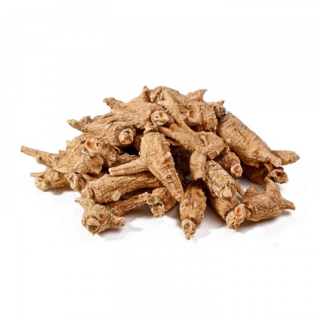 semi-wild american ginseng