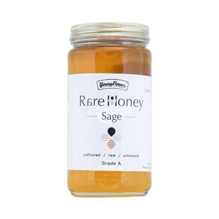美国YOUNG POWER 稀有鼠尾草蜂蜜 454g YOUNG POWER Rare Sage Honey 454g