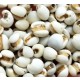 德成行 生薏米 2LBS 