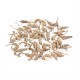 TAK SHING HONG Wild American Ginseng 3G-RR-AAAA 4oz(113.50g)
