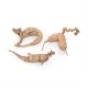TAK SHING HONG Wild American Ginseng 3G-RR-AAAA 4oz(113.50g)