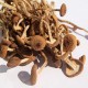 德成行 茶树菇 4oz