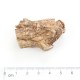 德成行 美国西洋参/花旗参 PS40-AAAA 8oz(227g)