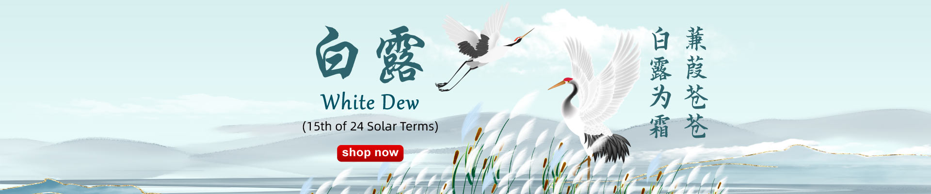 〔独家〕德成行花旗参莲花清瘟胶囊补货+福袋+独家返现 〔独家〕德成行花旗参莲花清瘟胶囊补货+福袋+独家返现