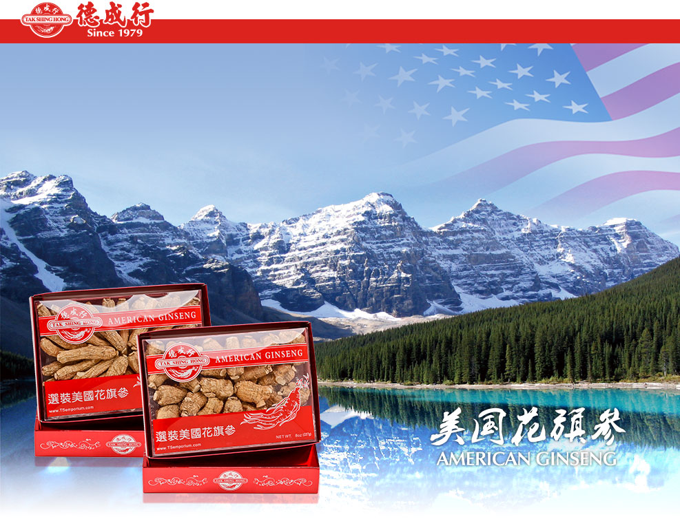 american ginseng pts80 aaa 4oz tak shing hong american ginseng pts80 aaa 4oz tak shing hong